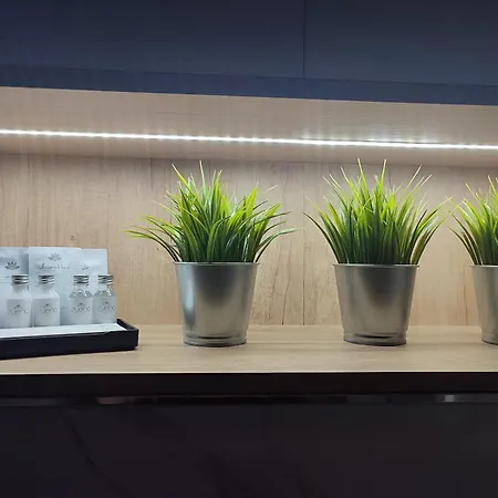 Z Tarasem Apartment *